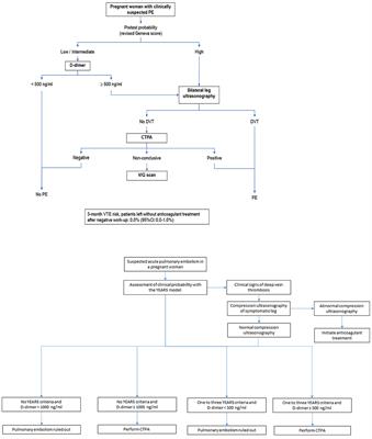 Diagnostic Management of Pregnant Women With Suspected Pulmonary Embolism